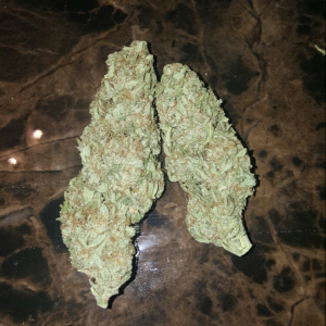 Photo for classified ad  EXOTIC Super Skunk