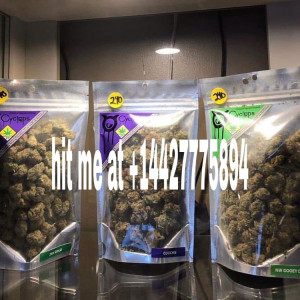 Photo for classified ad fast hook up discreet delivery right to your door step +14427775894