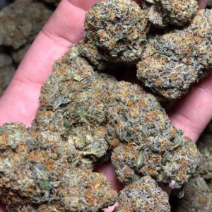Photo for classified ad BEST QUALITY MEDICAL MARIJUANA PRODUCTS AVAILABLE AT AFFORDABLE PRICES 