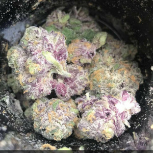 Photo for classified ad hydroponic cannabis for sell