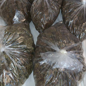 Photo for classified ad $280 packs