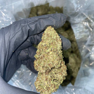 Photo for classified ad Buy real weed and have it delivered at your doorstep fast and discreet. Message