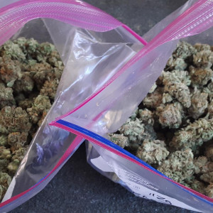 Photo for classified ad INDOOR DANK MARIJUANA