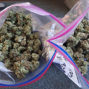Photo for classified ad COME MEETUPS WITH A REAL GROWER 
