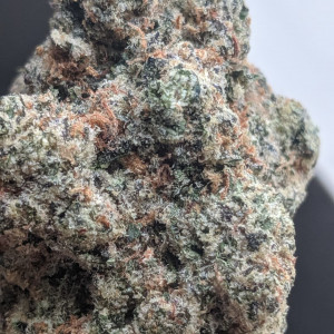 Photo for classified ad TOP GRADE INDOOR AND OUTDOOR BUDS