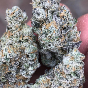 Photo for classified ad BUBBA KUSH