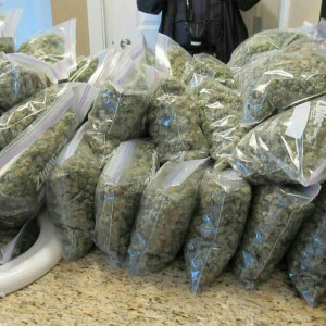 Photo for classified ad Loud Gas Flowers, Concentrates, Edibles,Shroom and Carts:Telegram:@Kevinkushy or Text (707)797-0151