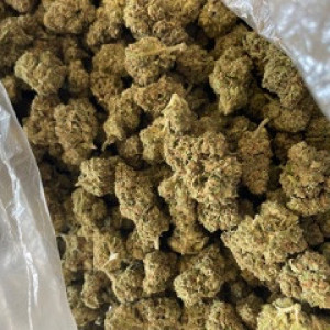 Photo for classified ad Gelato 45 , Voodoo OG, word wide dispensary