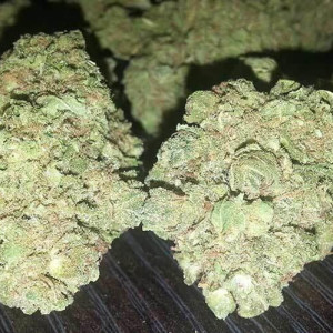 Photo for classified ad HIGH GRADE LEGIT & ASAP DELIVERY!! INDOORS AND OUTDOOR GAS ON DECK 