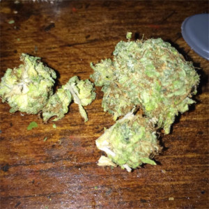 Photo for classified ad HIGH GRADE LEGIT & ASAP DELIVERY!! INDOORS AND OUTDOOR GAS ON DECK 