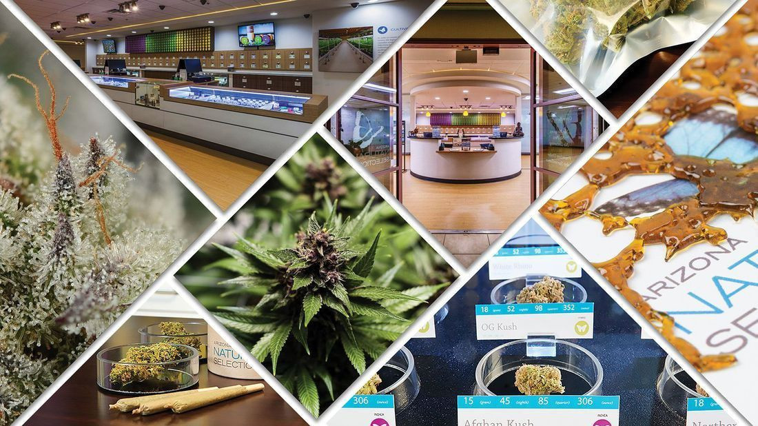 Arizona Natural Selections of Mesa