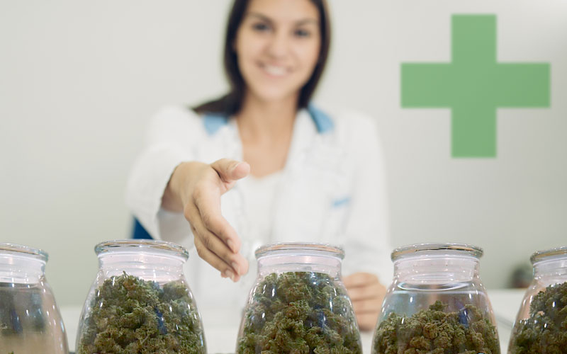 Green Medical Marijuana Bud