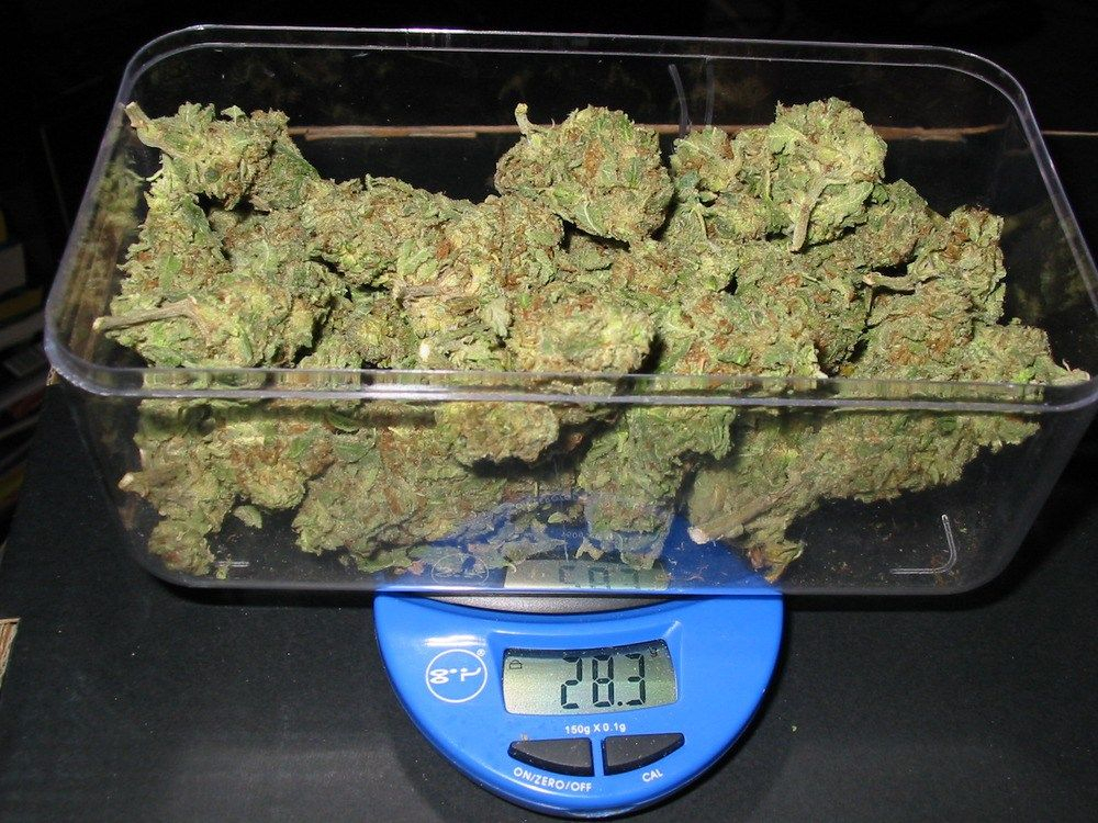 bestmmjgrower