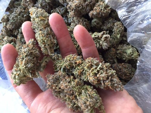 Klarie canna care