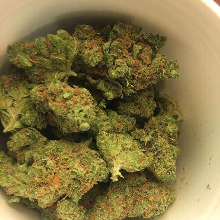 Curtis Ray’s High Buds