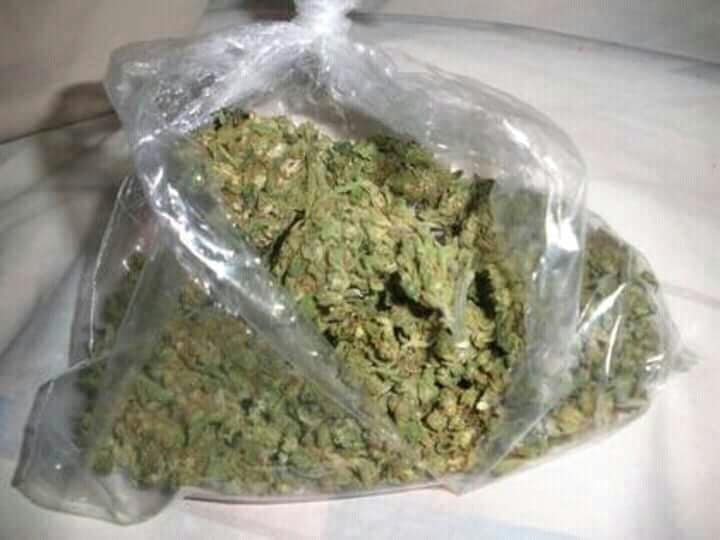 Thcplants