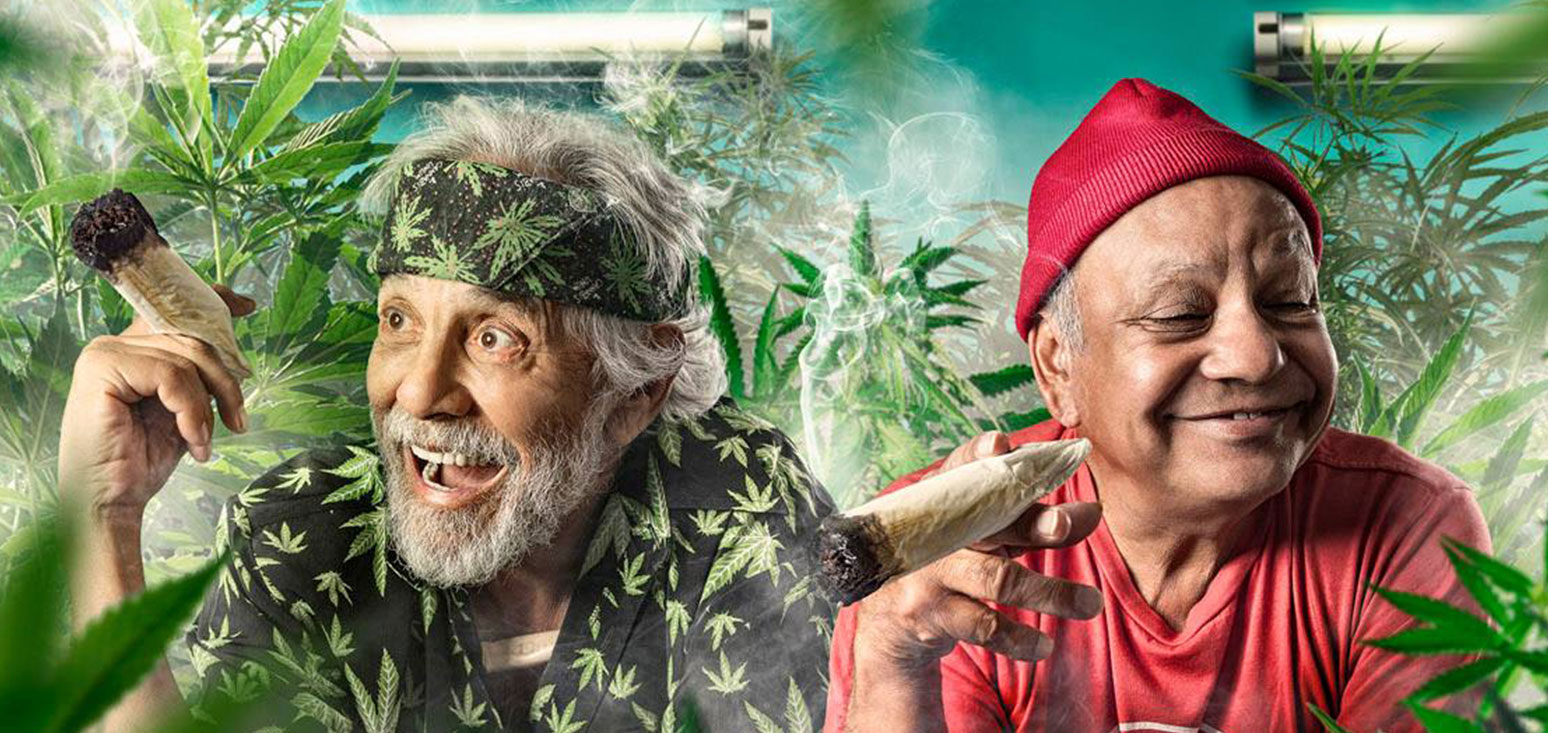 Medical mmj high supplier