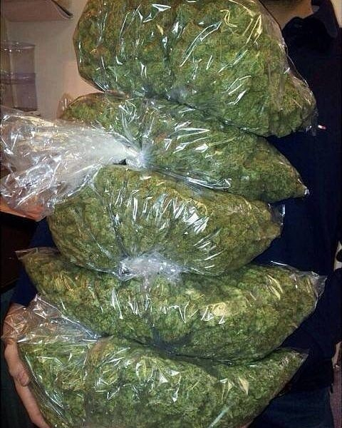 DANNY MILLER KUSH DISPENSARY