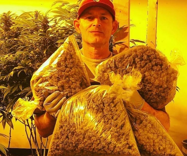 marijuanalist