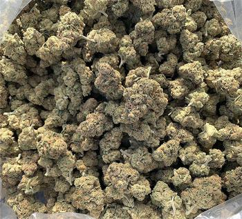 New World Dispensaries