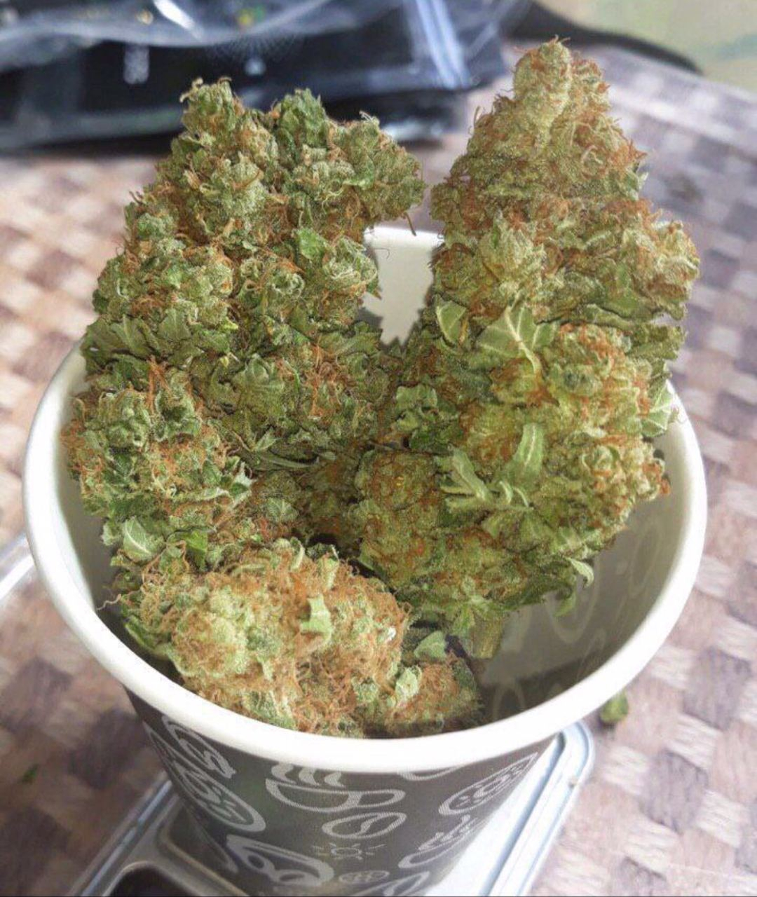 Kushplug420