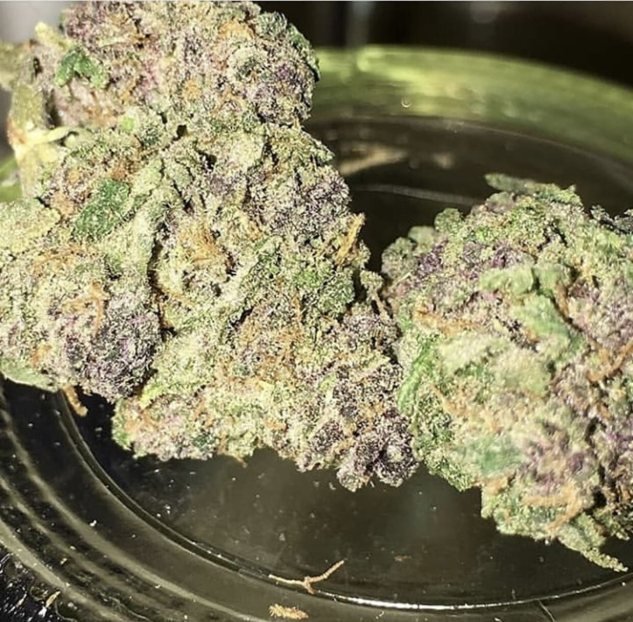 weedmaster