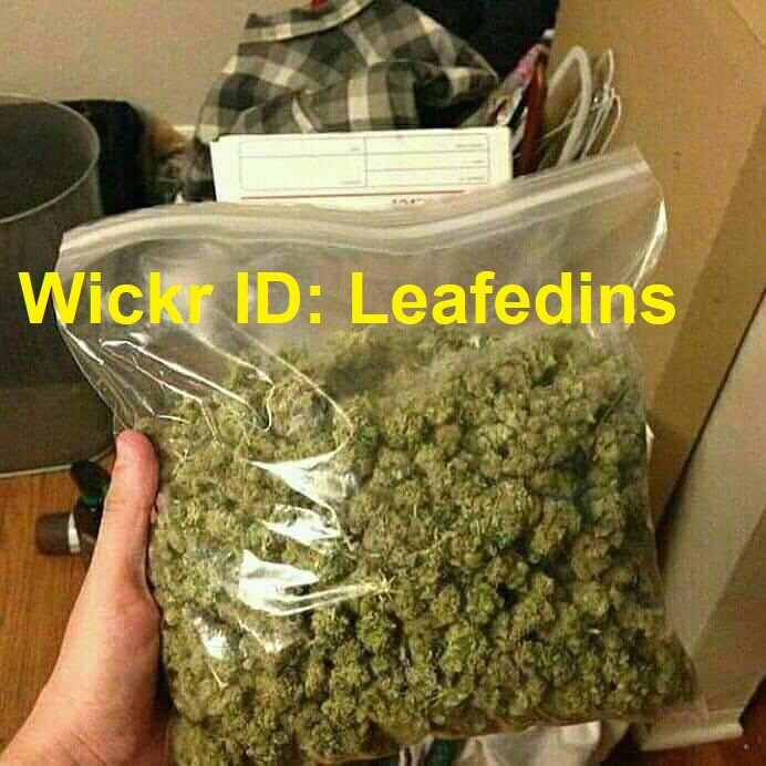 Buy Marijuana Weed Online plug