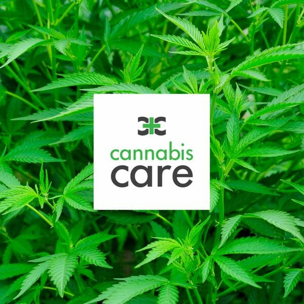 RealMeds Dispensary