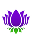 Purple Lotus