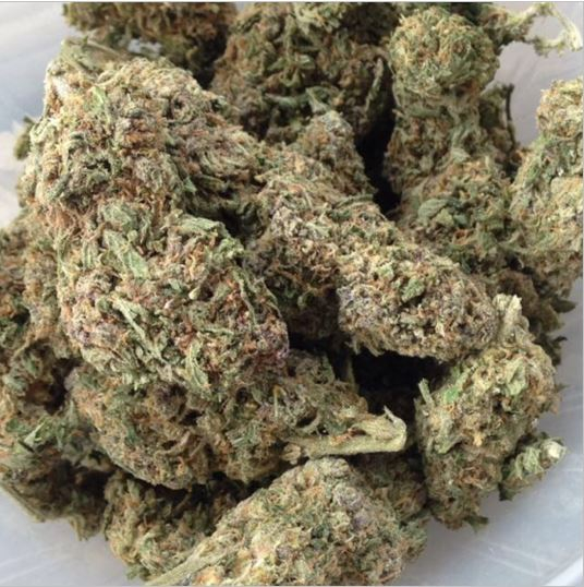 Dankheight24