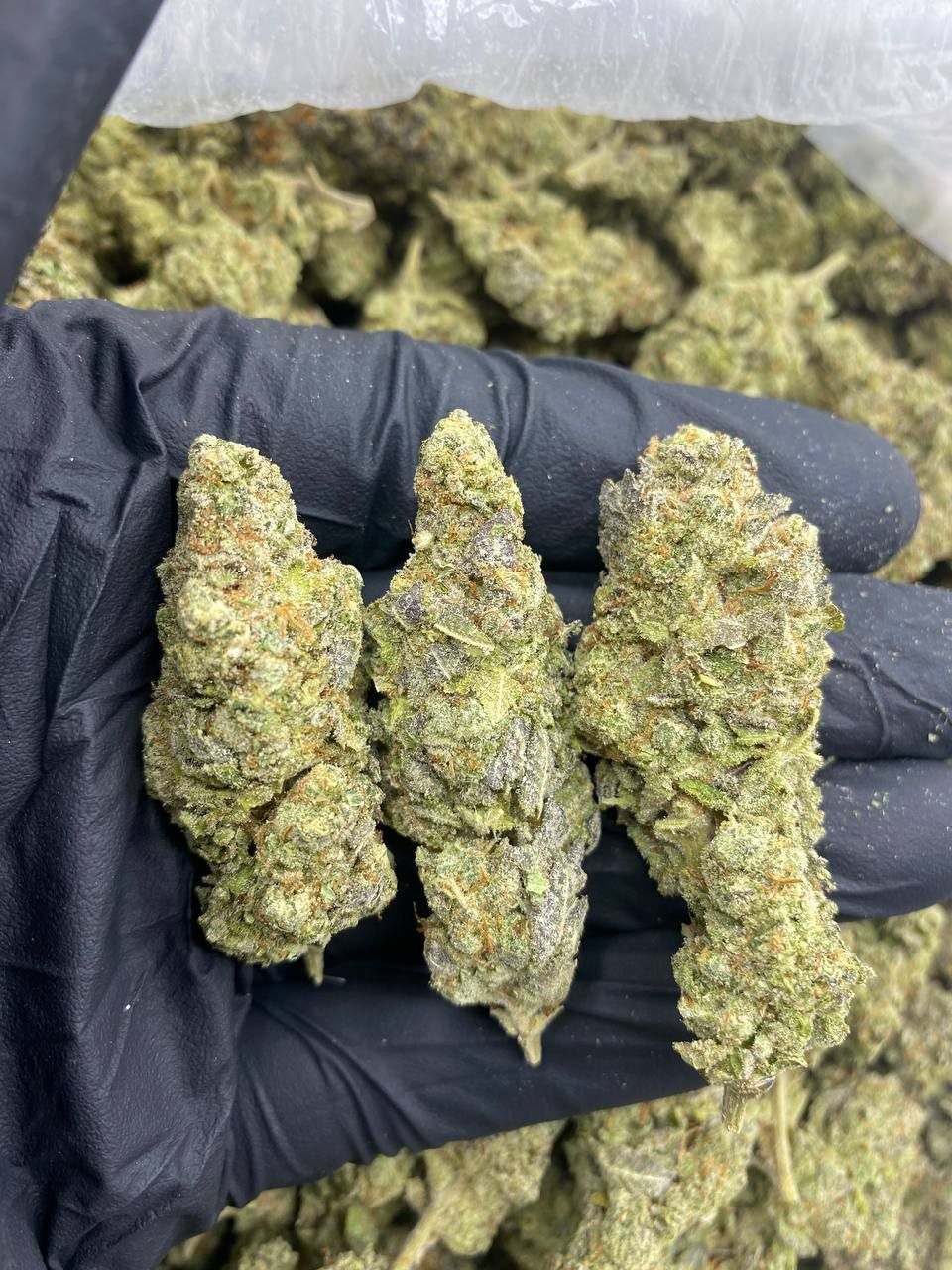 Buy weed online