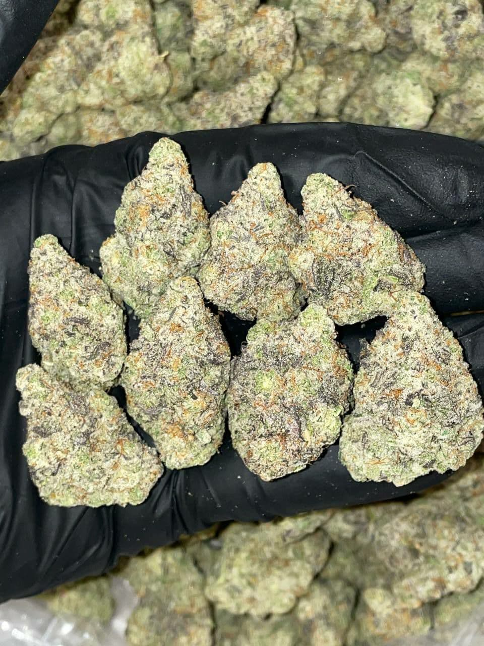 Mary Marijuana