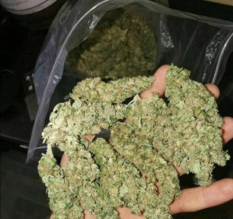 Onlinegreenmedshop
