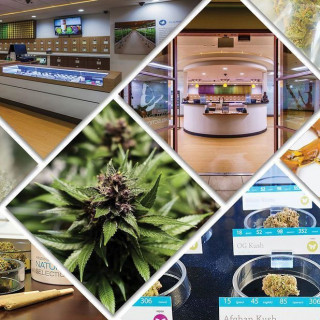 Arizona Natural Selections of Mesa