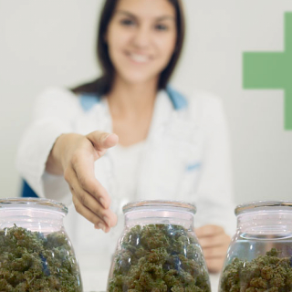 Green Medical Marijuana Bud