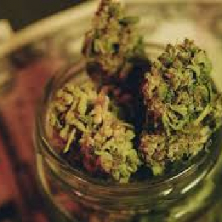 Cannabis shop
