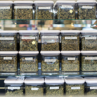 onlinemarijuanapharma