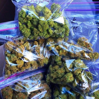 godsonkush