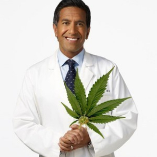 Doctor Zozo MJ 4 U ALL