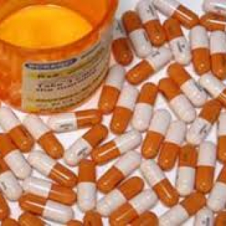 bestonlineweed