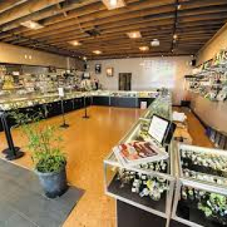 Legal Weed Dispensary