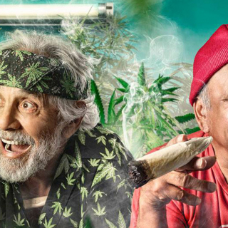 Medical mmj high supplier