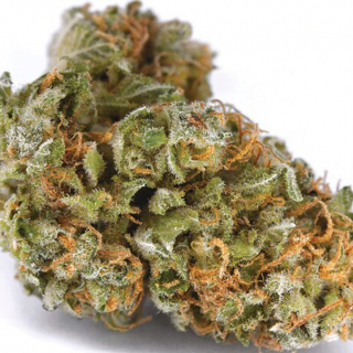 Cannabis Online Dispensary