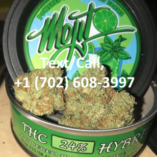 kush420store