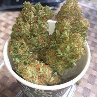 Kushplug420