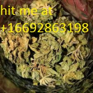 420 mmj online dispensary