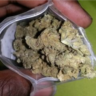 420 plug