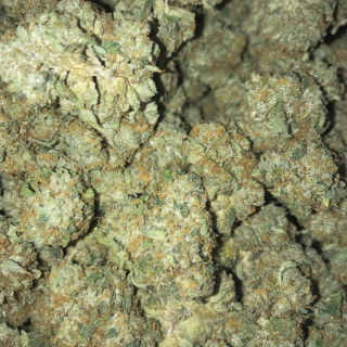weed premier