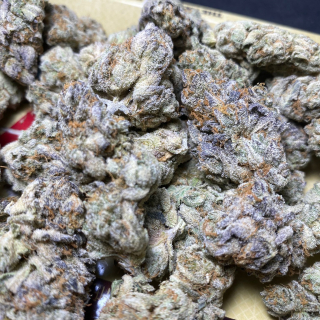 Medical Cannabis