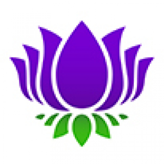 Purple Lotus
